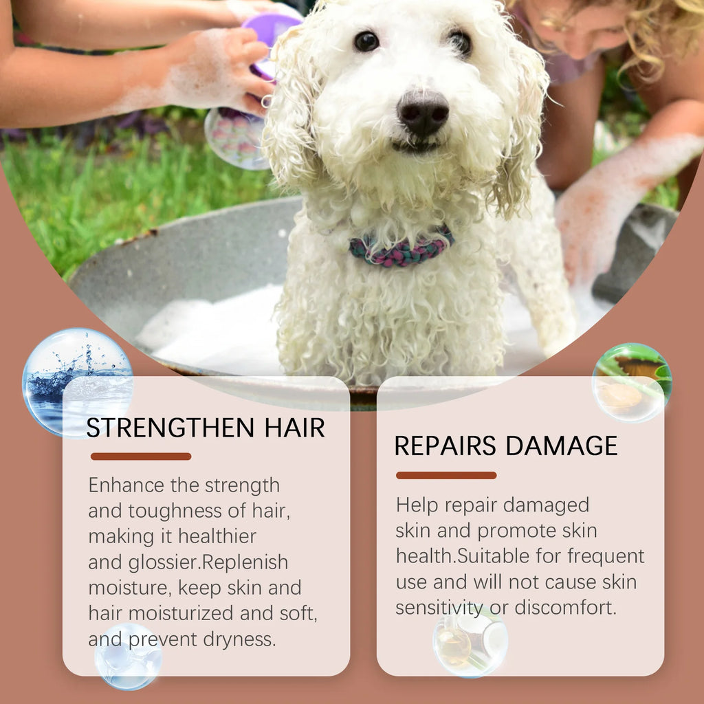 Anti Itch Shampoo with Coconut Oil for Dogs Prevent Dryness Relieve