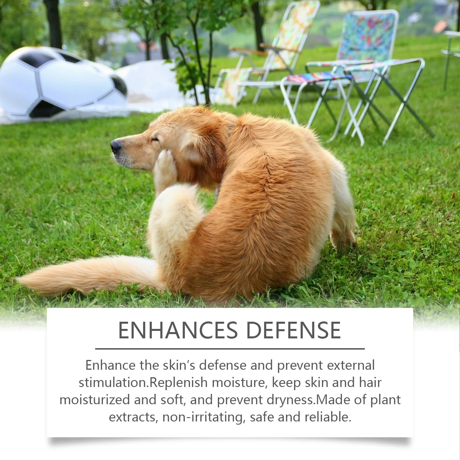 Anti Itch Shampoo with Coconut Oil for Dogs Prevent Dryness Relieve
